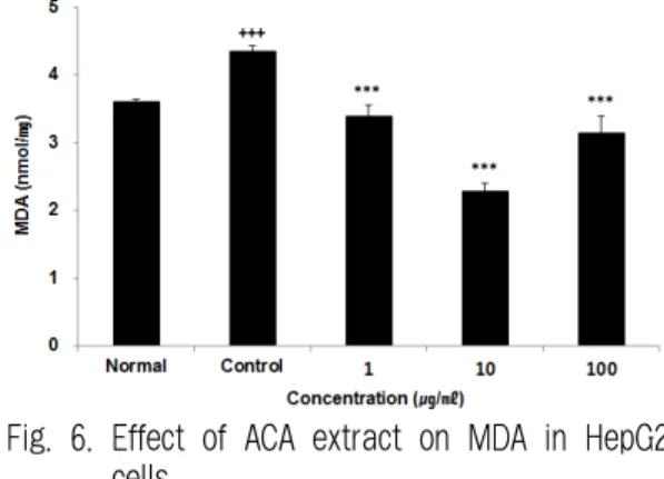 Fig. 6. Effect of ACA extract on MDA in HepG2  cells. 