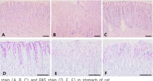 Fig. 1. H-E stain (A, B, C) and PAS stain (D, E, F) in stomach of rat.