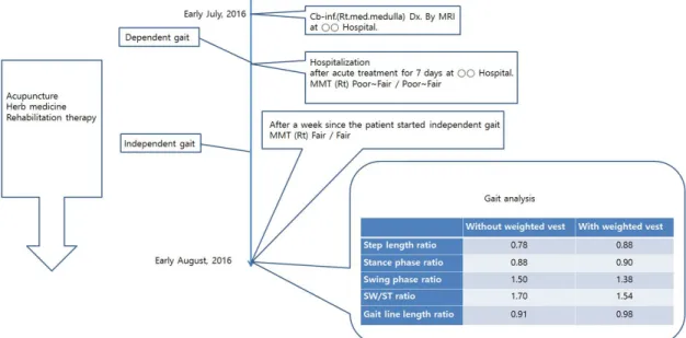 Fig. 1. Timeline of this study.