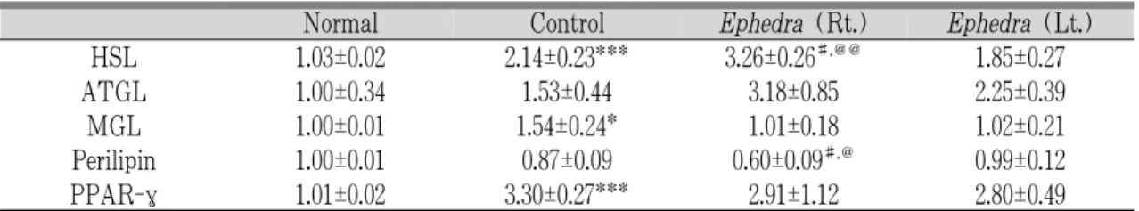 Table 8. Gene Expression of Each Experimental Group 