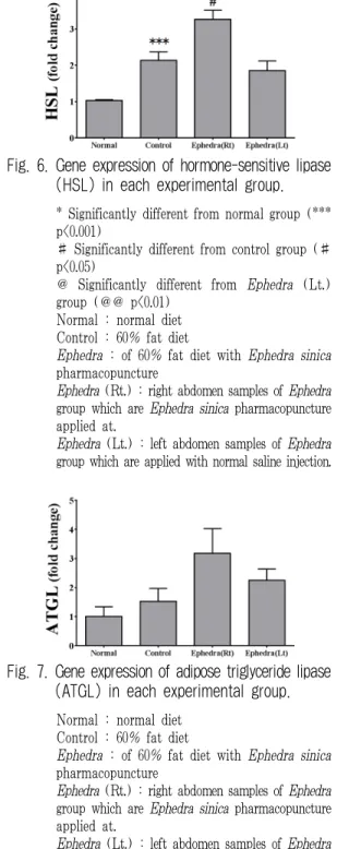 Fig. 6. Gene expression of hormone-sensitive lipase  (HSL) in each experimental group.