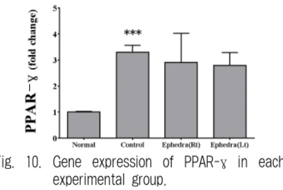 Fig.  9.  Gene  expression  of  perilipin  in  each  experimental group.