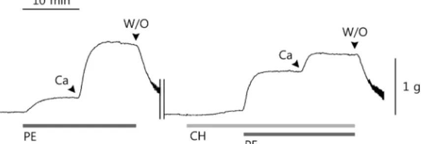 Fig. 3. Effects of CH extract on calcium-dependent contraction of corpus cavernosal strip in calcium free  media