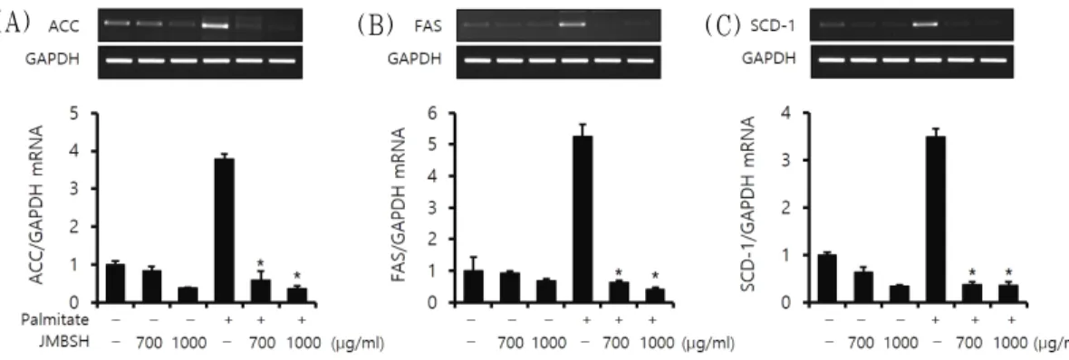 Fig. 4. Effect of JMBSH on expression of lipogenic genes in HepG2 cells.