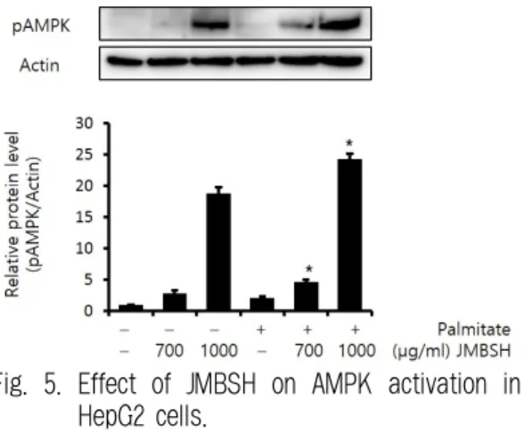 Fig.  5.  Effect  of  JMBSH  on  AMPK  activation  in  HepG2 cells.