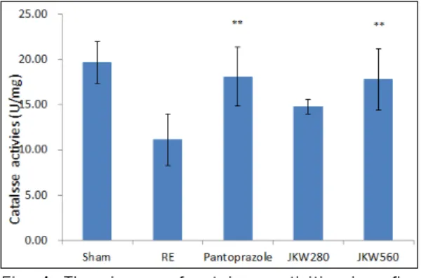 Fig. 4. The change of catalase activities in reflux  esophagitis rats.