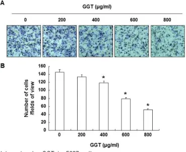 Fig. 2. Decrease of cell invasion by GGT in 5637 cells.