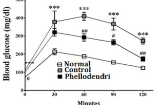 Fig. 2. Oral glucose tolerance test of each experimental group.