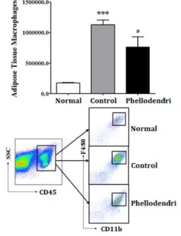Fig. 3. The number of adipose tissue macrophage (ATM) in each experimental group.