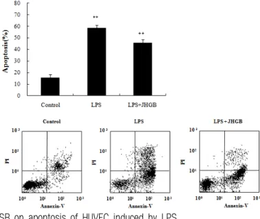 Fig. 11. Effects of JHSB on apoptosis of HUVEC induced by LPS.