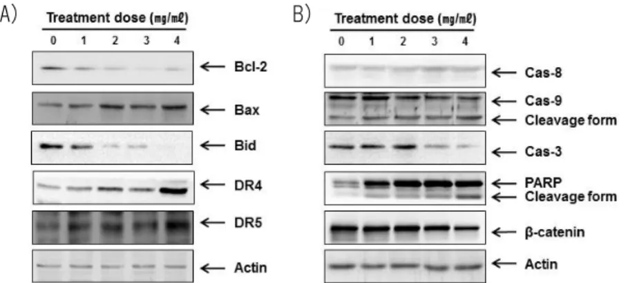 Fig. 6. PG exposure modulates apoptosis-related genes in NSCLC NCI-H460 cells. 