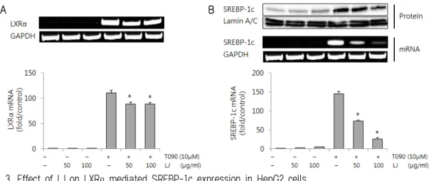 Fig. 3. Effect of LJ on LXRα  mediated SREBP-1c expression in HepG2 cells.
