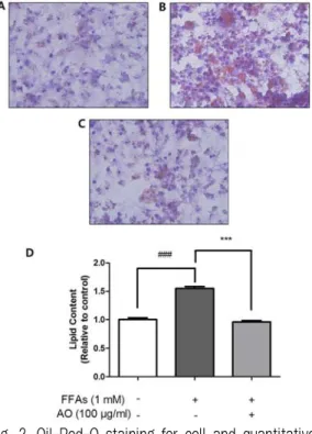 Fig. 2. Oil-Red-O staining for cell and quantitative  analysis of lipid.
