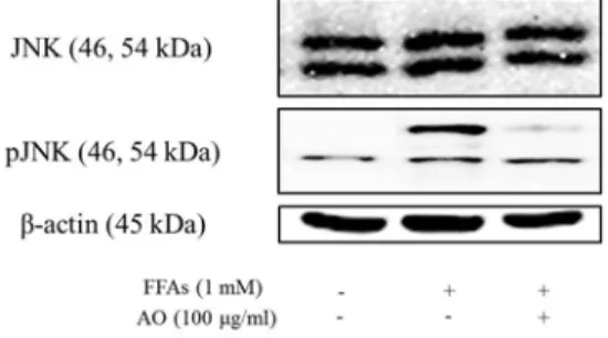 Fig. 4. PUMA mRNA expression level.