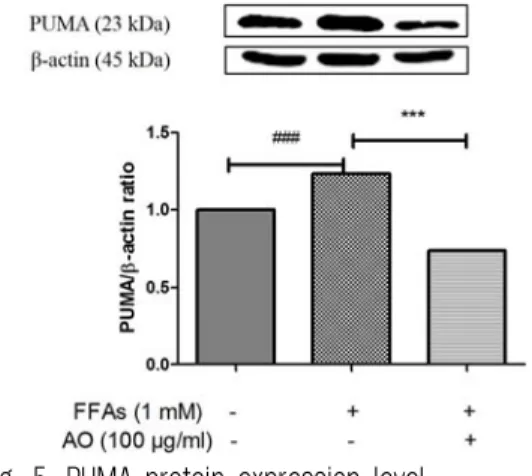 Fig. 6. Bax and Bcl-2 expression level.