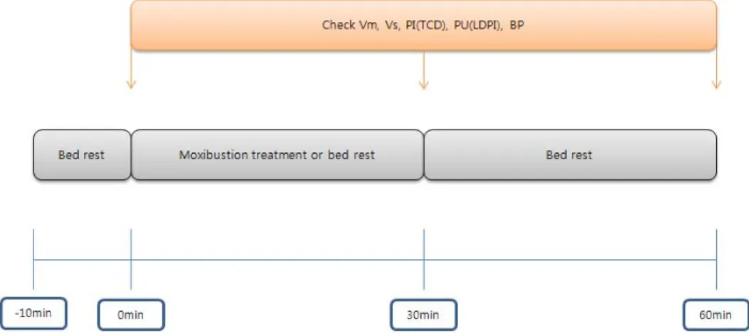 Fig. 2. Schematic representation of the study process.