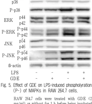 Fig. 4. Degree of relative COX-2 mRNA expression by GDE in the LPS-stimulated RAW 264.7 cells.