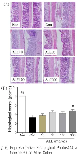 Fig. 6. Representative Histological Photos(A) and Scores(B) of Mice Colon.