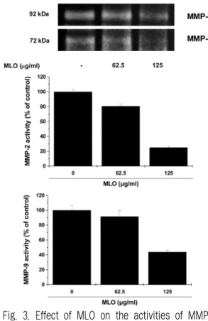Fig. 3. Effect of MLO on the activities of MMPs in B16F10 cells.