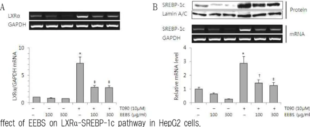 Fig. 3. Effect of EEBS on LXRα-SREBP-1c pathway in HepG2 cells.