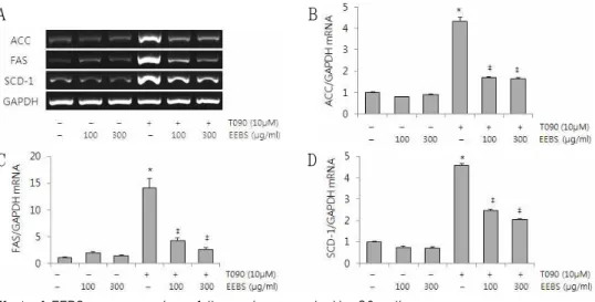 Fig. 4. Effect of EEBS on expression of lipogenic genes in HepG2 cells.
