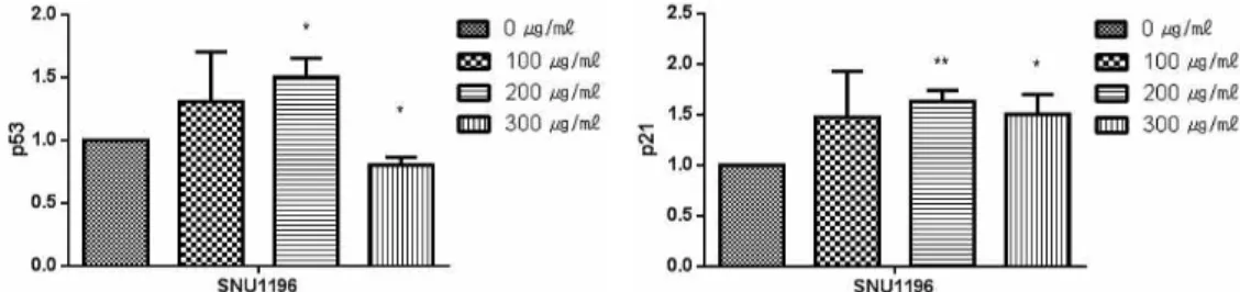 Fig. 7. Effects of INJIN concentration on the expression of p53 and p21 in biliary tract cancer cells.