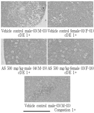 Fig. 3. Histopathological changes detected on the  spleen.