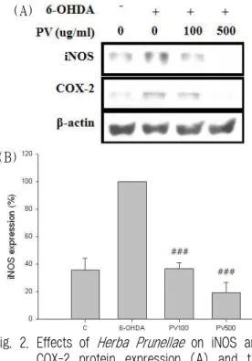 Fig. 2. Effects of Herba Prunellae on iNOS and COX-2 protein expression (A) and the
