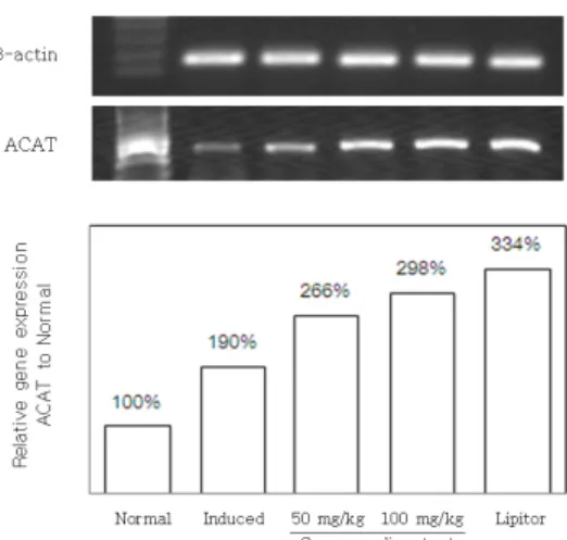 Fig. 12. CYP-7A1 gene expression in liver tissue Rats were pre-treated with water, Curcuma radix  (50, 100 ㎎/㎏) or Lipitor ®  (10 ㎎/㎏) before  poloxamer  407  injection