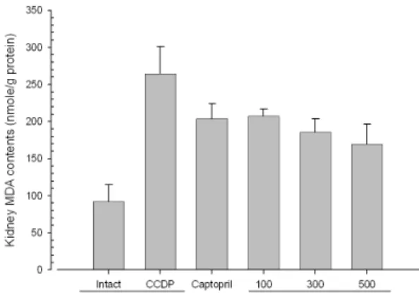 Fig.  2.  Changes  on  the  kidney  glutathione  contents after cisplatin and test article  administration