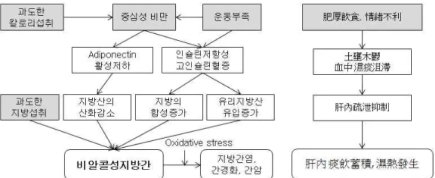 Fig. 1. Summary of mechanical process of non-alcoholic fatty liver disease.