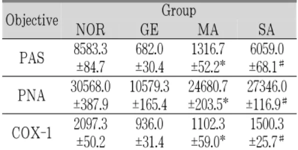 Table 5. The image analysis of gastropathy evoked mucosal barrier damages