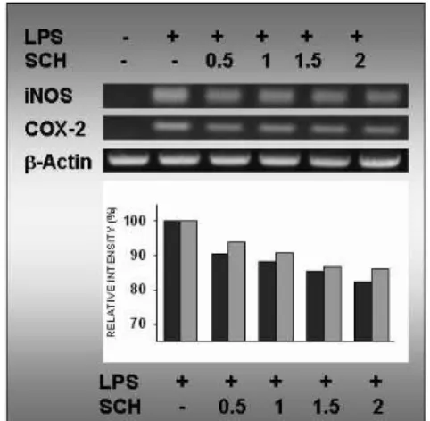 Fig. 4. In vitro test for Anti-inflammation effects of Sochehwan .