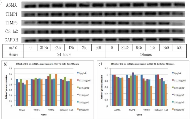 Fig. 5. ASMA, TIMP2 and collagen 1a2 gene expression shows decreased tendoncy by DG in dose dependent manner.