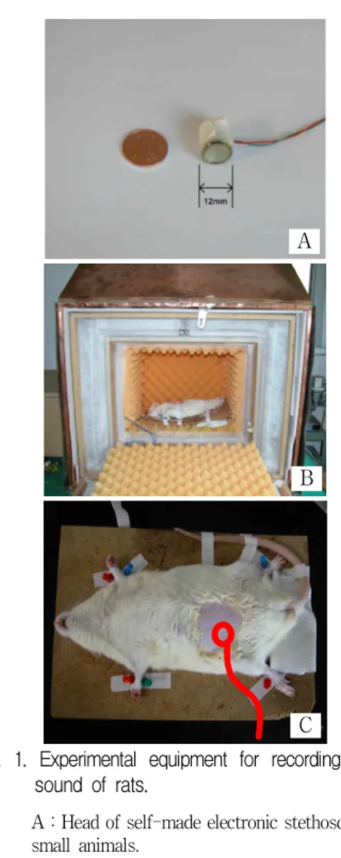 Fig. 1. Experimental equipment for recording bowel sound of rats.