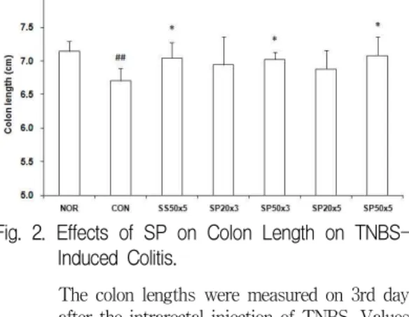 Fig. 2. Effects of SP on Colon Length on TNBS- TNBS-Induced Colitis.