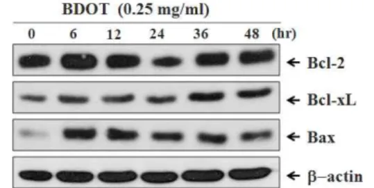 Fig. 10. Expression of antioxidant enzymes in BDOT -treated HCT-116 cells.