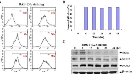 Fig. 12. Production of NO and expression of NOS proteins in BDOT treated HCT-116 cells.