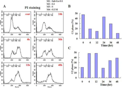 Fig. 3. BDOT induced cell cycle arrest at G2/M phase in HCT-116 cells.