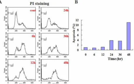 Fig. 5. BDOT induced apoptosis in HT-116 cells in a time-dependent manner.
