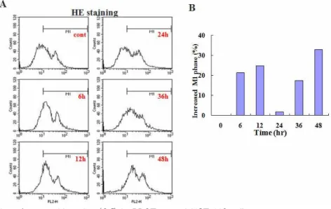 Fig. 9. Production of superoxide anion (O 2 - ) in BDOT treated HCT-116 cells.