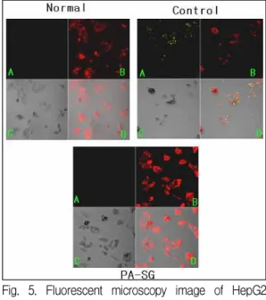Fig. 4. Effect of SG on cytotoxicity in palmitic acid-treated HepG2 cell.
