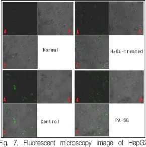 Fig. 6. Effect of SG on intracellular TG contents in palmitic acid-treated HepG2 cell.