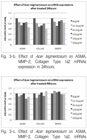 Fig. 4. Effect of Acer tegmentosum on Procollagen production into the cell medium.
