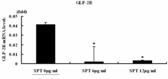 Fig. 14. Effect of SPT on GLP-2R mRNA expression.