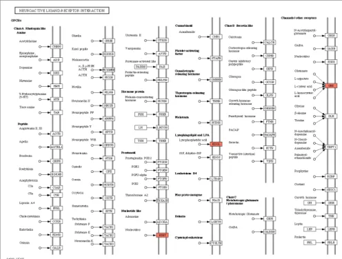 Fig. 7. DNA profile analysis related in neuroactive ligand-receptor interaction.