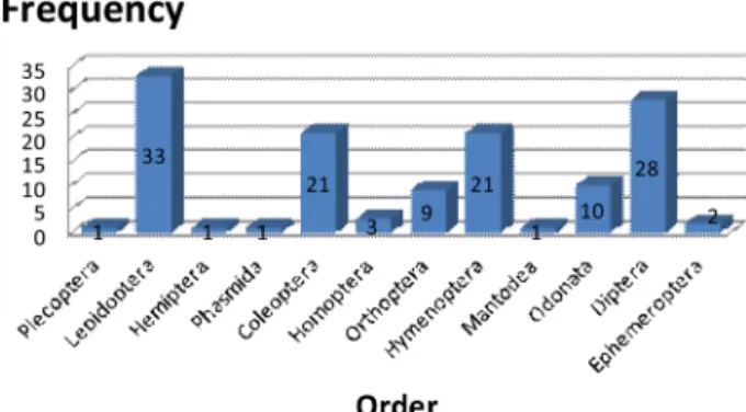 Fig. 1. The appearing frequency number of each order belonging to Insecta.