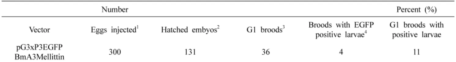 Fig. 2. Fluorescence expression of EGFP in transgenic silkworms. A) Eggs were expressed in the eyes and the abdominal nervous system of seven days old F1 embryo