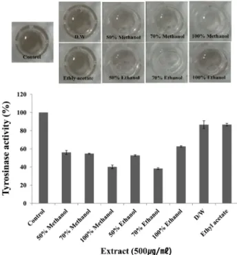 Fig. 2. Melanin synthesis of organic solvent extracts from Scolopendra subspinipes   mutilans.