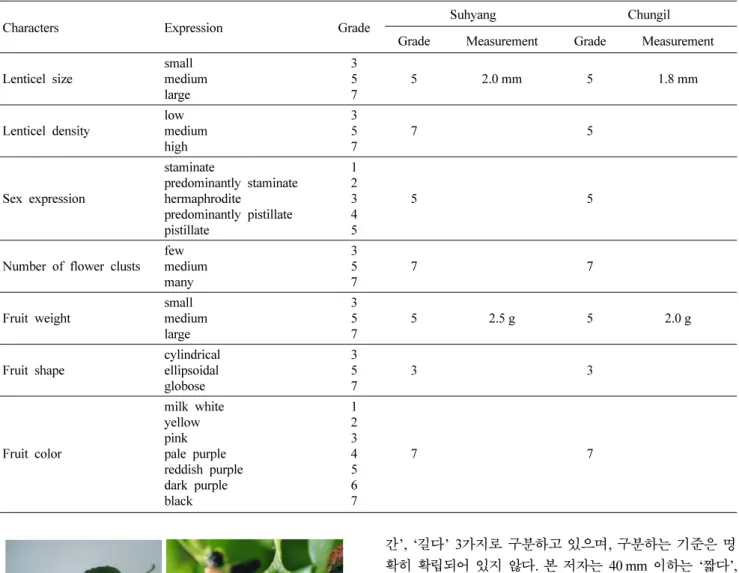 표 1은 ‘수향’의 특성을 조사한 결과로서, 엽서(phyllotaxis) 는 2/5, 잎의  형태(leaf shape)는  타원형으로,  결각이  없으 며,  겨울눈은  긴  삼각형으로  중간크기,  잎이  떨어진  이후 의  엽흔  형태(shape of petiole scar)는  반원형,  겨울눈의 색은 암갈색이다